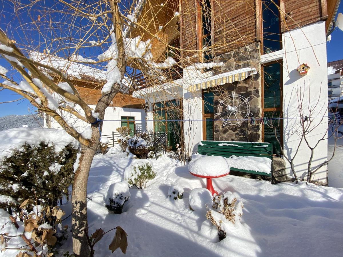 Villa Sun Valley Bakouriani Extérieur photo