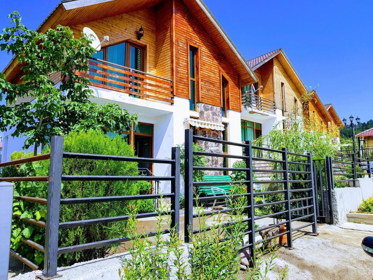 Villa Sun Valley Bakouriani Extérieur photo